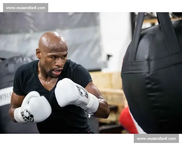 梅瑟威对决康纳世纪之战视频全解析拳台巅峰时刻回顾实战技法剖析